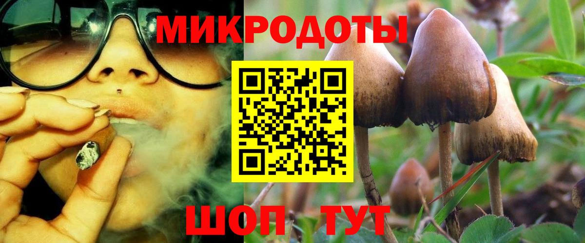 Псилоцибиновые грибы мицелий  Вход с VPN  Тосно 